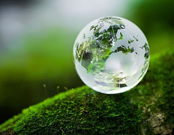 NEW-TO-THE-WORLD GREEN PACKAGING TO DRIVE SUSTAINABILITY